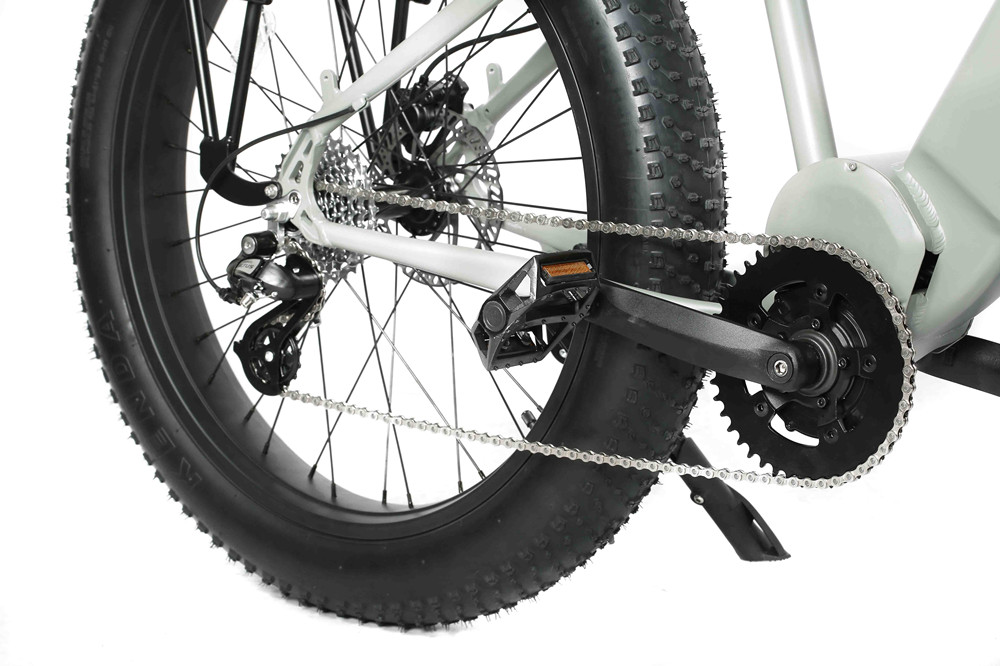 48V 15Ah Fat Tire Electric Bike 26 Inch Tektro HD-E350 Disc Brake Shimano 8 Speed Ebike