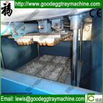 Pulp Moulding Machine(FC-ZMW-3)