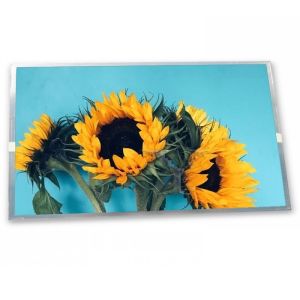 China LM238WF2-SST3 quality suppliers 23.8 inch lcd screen 1920*1080 lcd display panel factory