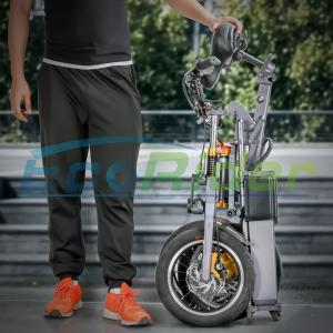 China New Design Foldable Electric Scooter Three Wheels 48V 250W Folding Electric Bike factory