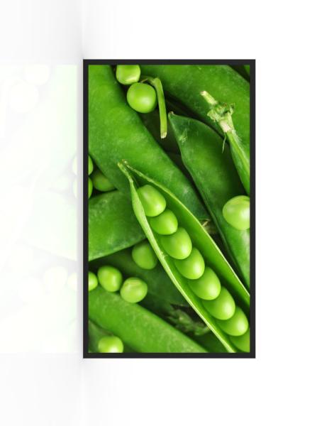 32" Outdoor 3000nits UV Resistant IP67 Outdoor Waterproof Display Advertiser