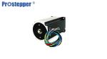 Small Vibration 3 Phase 60mm 300W Brushless Motors