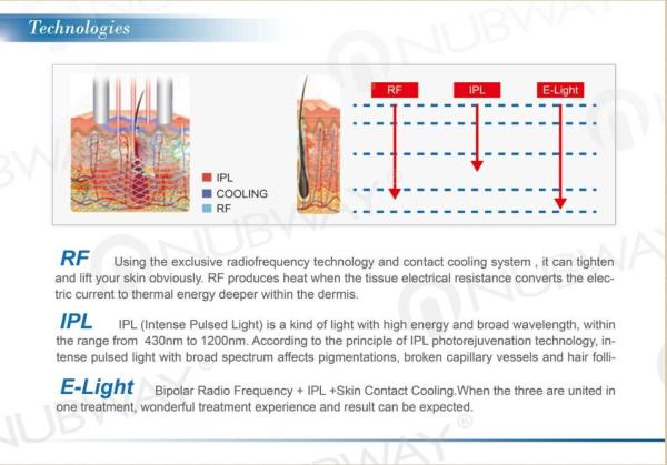 Eligh RF IPL SHR Hair Removal Machine / China SHR IPL Hair Removal Machine
