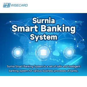 China Smartbanking Web Based Structure Banking Wisecard Banking System factory