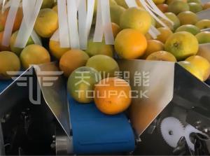 China PLC 5L Multihead Weigher Packing Machine for Agriculture Product factory