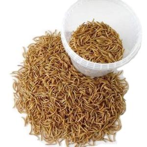China Sustainable Insects Dried Mealworm Bird Food - 1 Year Shelf Life factory