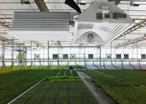 China Ceramic Metal Halide Indoor Grow Lights , 630W A350 Plus DE Grow Light For Crops factory