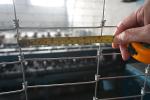 Sustainable Farming Practices Square Knot Weather-Resistant Grassland Fence with