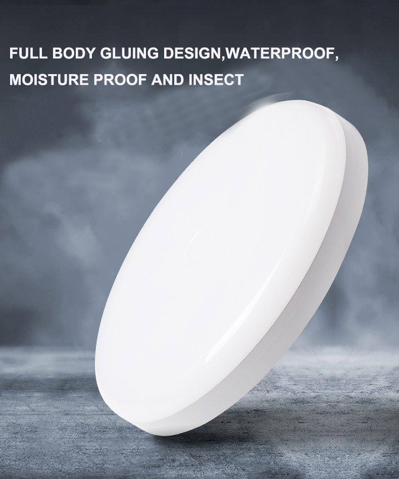 NO Dimmer 15w 20w IP65 Wall Mounted Outdoor LED Moisture-Proof Lamp for Russia Buyers