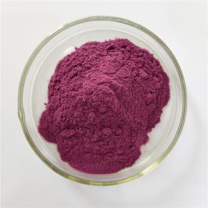 China Blackcurrant Extract For Immune Anti-fatigue factory