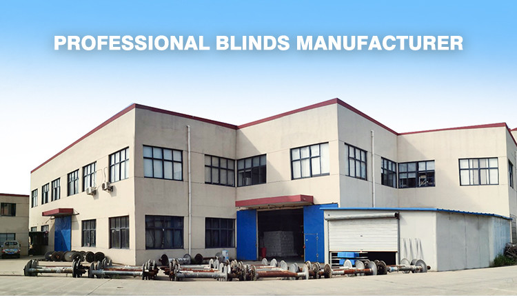 Smart Motorized Zip Track Blinds Rainproof Zip Screen Roller Blinds