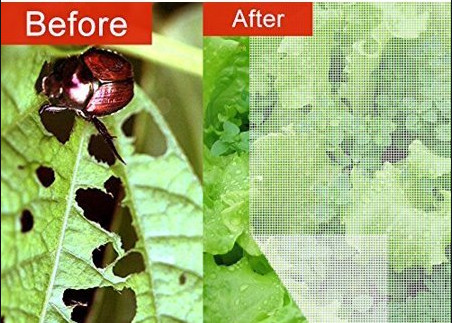 Greenhouse Anti Insect Mesh Netting Pure HDPE 50 Mesh 120 Gsm Insect Screen Mesh