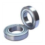 Single row 6202 auto parts NSK Ball Bearings Stainless steel 6202 22000r / min