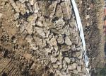 Stainless Steel 100x120 HD Galvanized Gabion Box