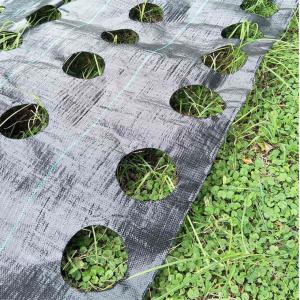 China Premium Weed Barrier Landscape Fabric Ground Cover Heavy Duty Commercial Anti-Weed Gardening Mat 3ft x 33ft Green factory