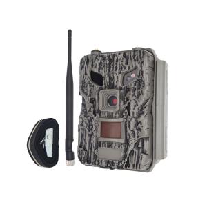 China 24MP Cloud Wireless Rear Time Image Game Camera 4G Cellular Game Camera factory