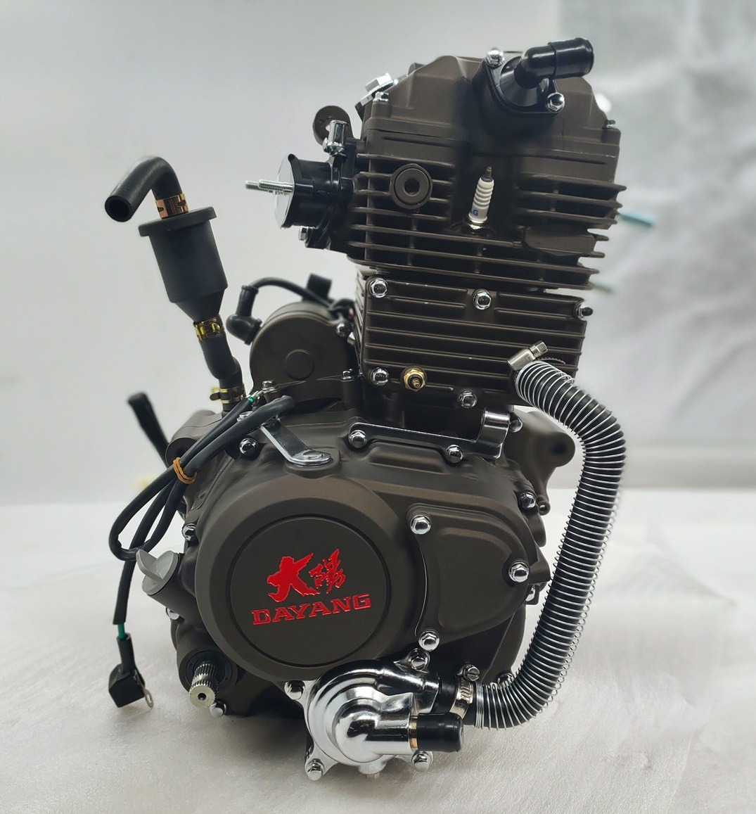 250cc DAYANG LIFAN Motorcycle Engine Assembly Single Cylinder Four Stroke Style Origin CCC