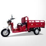 DAYANG Tricycle Motorcycle Cargo with 110cc Air Cooled Engine 3 Wheels and 4.0