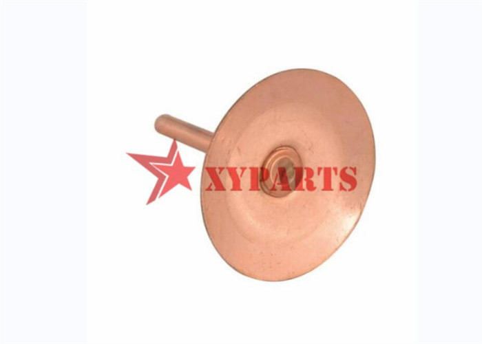20 Mm Copper Dics Roofing Rivets Fix Fibre Cement Slates