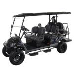 48V5KW six seater Golf car with Double A arm suspension Steel chassis Made in
