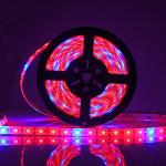Waterproof Constant Current LED Strip