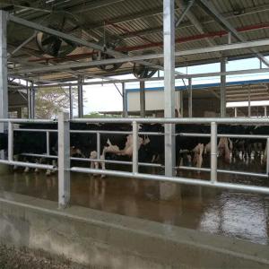 Professional Precast Steel Structure Space Frame Chicken Farm Building