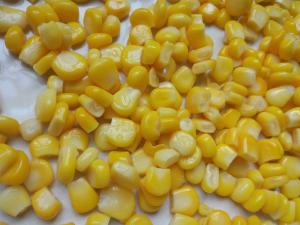 China Canned Corn Factory Non GMO Canned Corn Canned Sweet Corn In Tin A10 factory