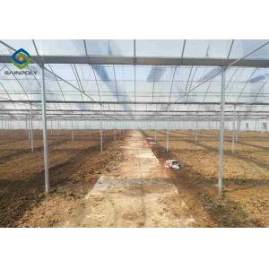 10ft Plastic Film Greenhouse With Hydroponic Growing Systems