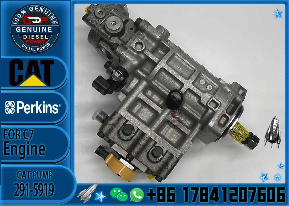 2641A312 3178021 317-8021 10R7660 368-9171 291-5919 276-8398 2641A407 2641A306 C6.6 injection pump for Caterpillar 320D
