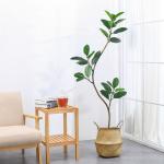 Artificial Potted Floor Plants Small Ficus Pandurata For Garden Decoration