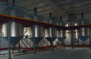 China 40TPD Soyabean Palm Crude Edible Oil Refinery Machine Mill Processing Plant factory