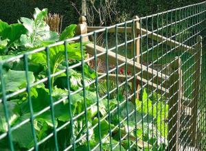 China 1.5m Height Green PVC Coated Wire Mesh / Heavy Duty Garden Fence Panels 10m Roll factory
