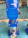 LOWARA Pump Multi Stage Centrifugal Pump
