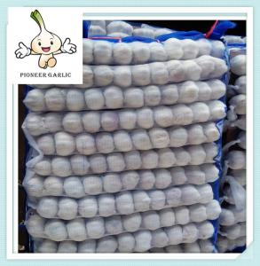 China normal white garlic natural fresh garlic 5.5cm natural fresh garlic factory