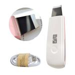 Japan Hot Sale Home Ultrasonic Skin Scrubber Machine BF1208
