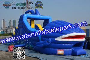 China Shark Huge little tikes Inflatable Slide For Water Theme Park factory