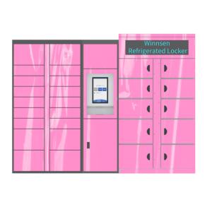 Winnsen Cabinet Vegetable Refrigerated Locker Electronic Storage Smart Lockers