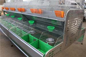 China Poultry Equipment Q235 Farm Rabbit Cage Automatic Drinking Cleaing factory