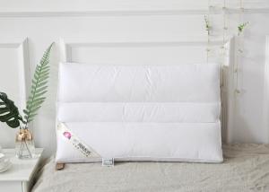 China Non Allergenic 48x74cm Bed Throw Pillows factory