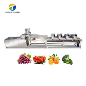 China 4.5KW Fruit And Vegetable Processing Line Vibration Draining Equipment factory