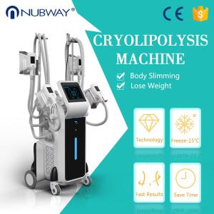 China 4 cryo handles cyolipolysis slimming machine fat feeze body slimming machine factory
