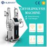 Buy cheap Weight Loss Feature and CE Certification cryolipolysis slimming machine from wholesalers
