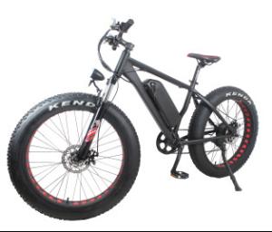 China Geared Electric Fat Bike 48v 750w With Sinewave System , High Speed 35-40km/h factory