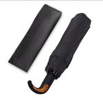 10 Ribs Compact Unisex Portable Folding Umbrella Auto Open and close