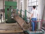 Woodworking vertical band saw with carriage, Sawmill Log Carriage for sale