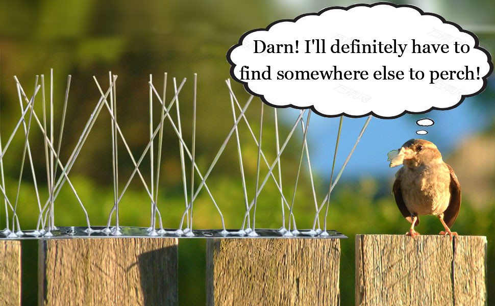 Bird Spikes for Pigeons Small Birds,Stainless Steel Bird Spikes -No More Bird Nests & Poop-Disassembled Spikes 10 Strips