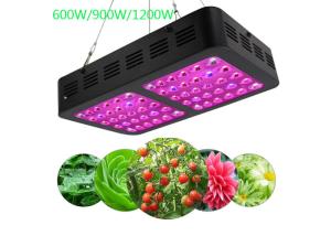 China Mirrors Bright LED Indoor Grow Lights 1200 Watt 50/60 Hz 300×195×60 Mm factory