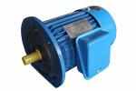 Y-802-4 4 Holes 0.75 KW Three Phase Induction Motor IEC Standard Motor Cast Iron