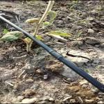 Watering&irrigation System Farm Garden Agriculture diameter 16mm Pipe Hose Drip