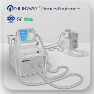 China Newest Portable Cryolipolysis Slimming Machine/ Cryolipolysis machine factory